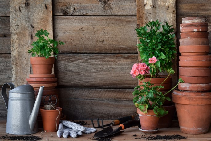 Какие цветы можно сажать в керамические горшки?
