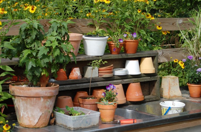 комнатные цветы в керамических горшках комнатные цветы в керамических горшках