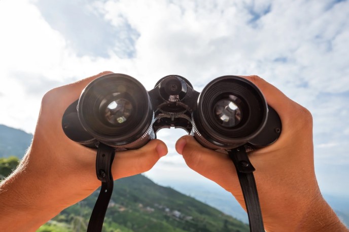 Бюджетные vs премиум бинокли: где реальная разница в качестве