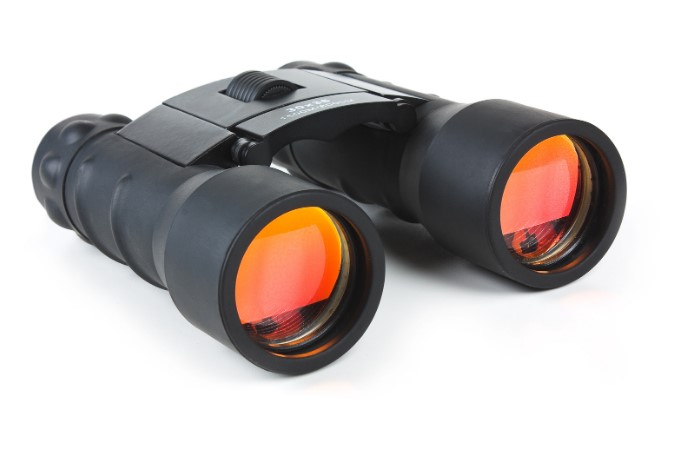 стоит ли переплачивать за дорогой бинокль